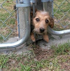 Meet your Posher, Marcia